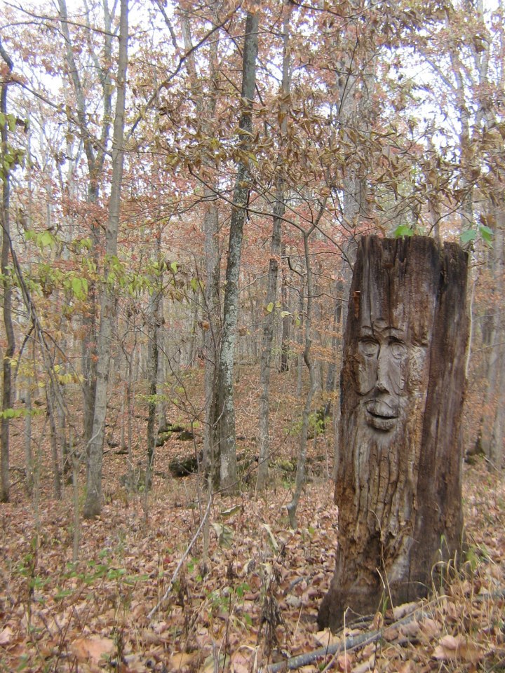 Ent